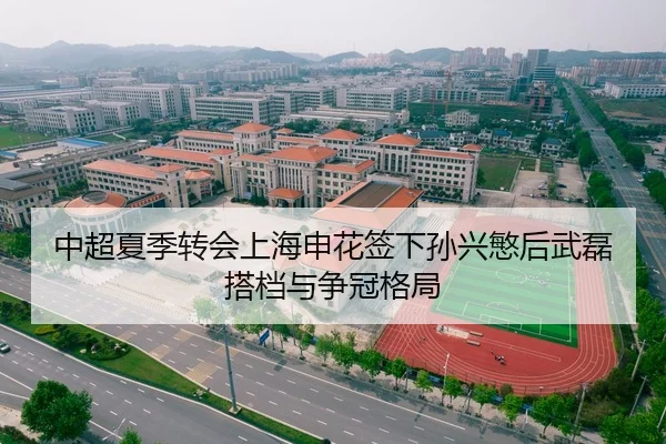 中超夏季转会上海申花签下孙兴慜后武磊搭档与争冠格局